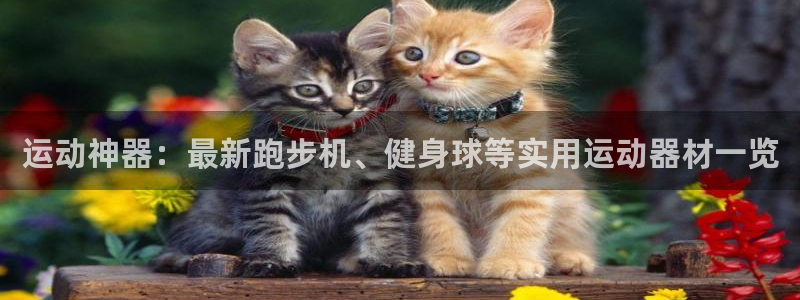 zoty中欧体育官方正版app集团：运动神器：最新跑