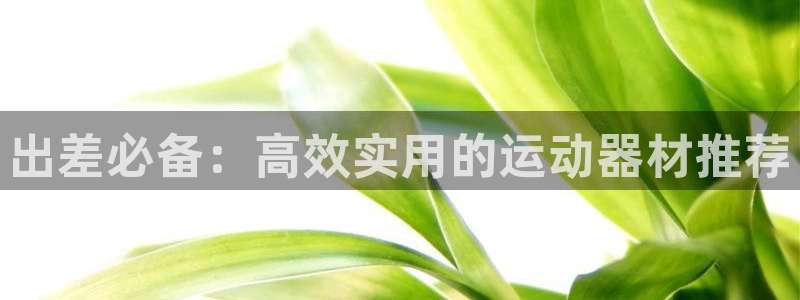 zoty中欧体育官方正版app新能源：出差必备：高效
