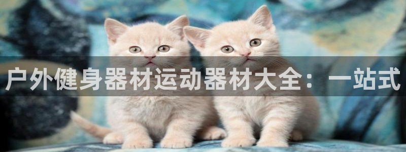 zoty中欧体育官方正版app五金厂：户外健身器材运