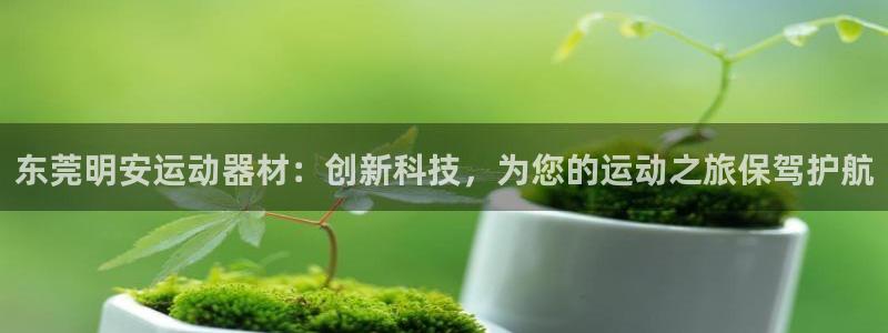 zoty中欧体育官网下载平台注册流程视频：东莞明安运
