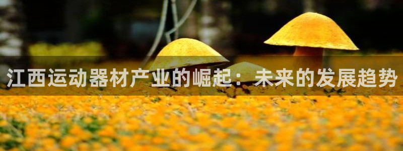 zoty中欧体育官网下载是干嘛的公司：江西运动器材产业的崛起