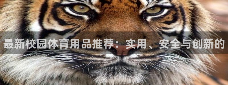 zoty中欧体育官网下载开户