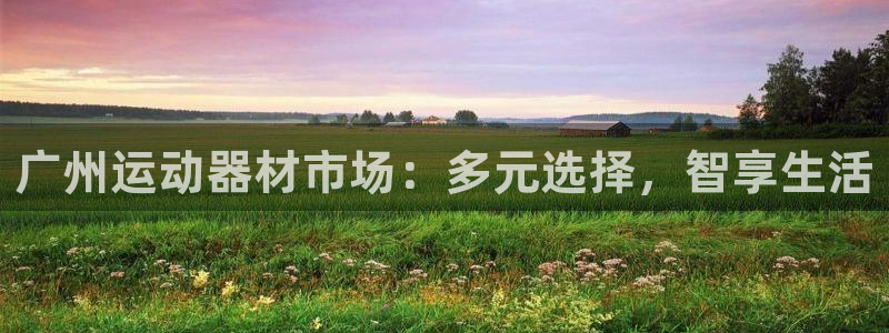 zoty中欧体育官网下载平台注册流程图：广州运动器材市场：多