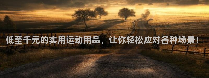 zoty中欧体育官方正版app新能源：低至千元的实用运动用品