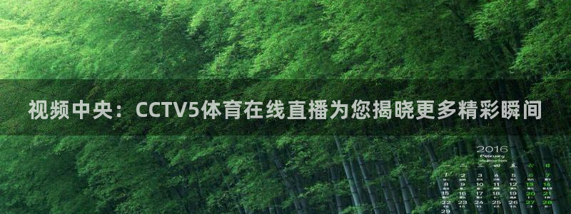 劲爆直播官网免费体育直播：视频中央：CCTV5体育在线直播为您揭晓更多精彩瞬间