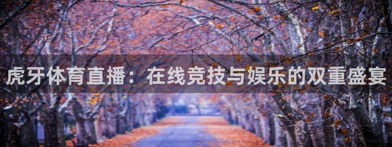 劲爆体育直播观看：虎牙体育直播：在线竞技与娱乐的双重盛宴
