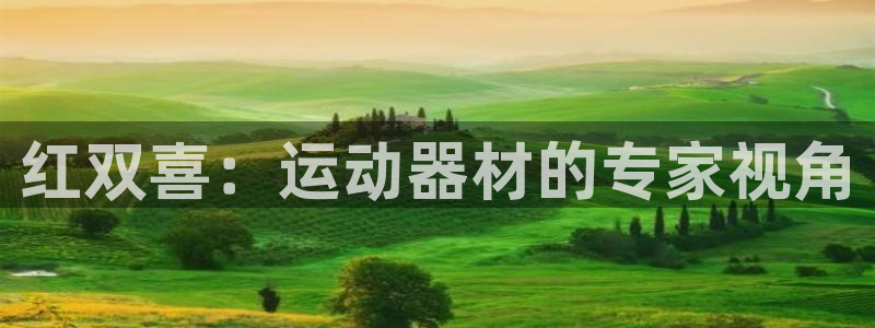 zoty中欧官方集团官网:红双喜:运动器材的专家视角