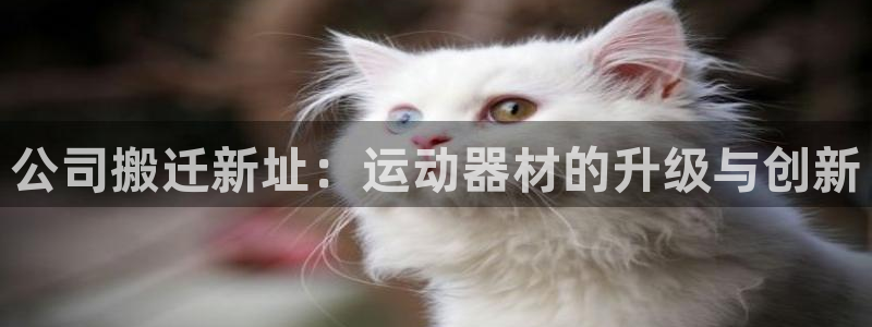 zoty中欧体育官网下载联系电话