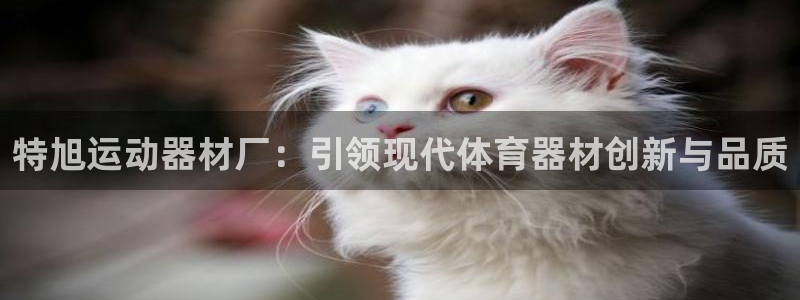 zoty中欧体育官网下载招商电话地址是多少:特旭运动器材厂: