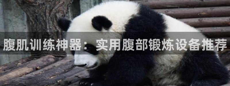 zoty中欧体育官网下载平台是正规平台吗：腹肌训练神