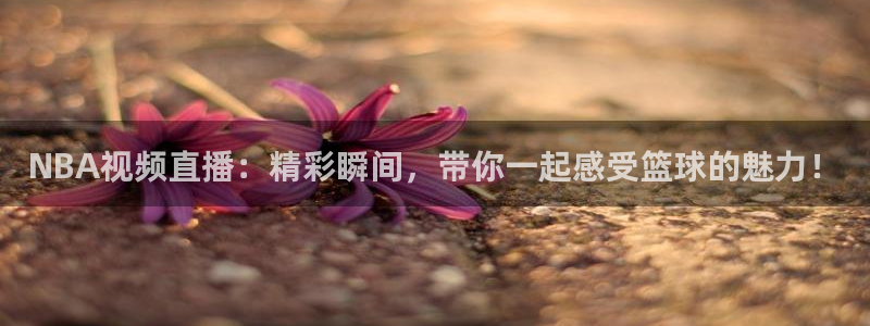 广东劲爆体育在线直播：NBA视频直播：精彩瞬间，带你一起感受篮球的魅力！