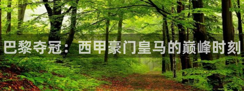 劲爆体育 直播：巴黎夺冠：西甲豪门皇马的巅峰时刻