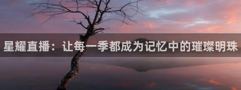 劲爆体育频道在线直播：星耀直播：让每一季都成为记忆中的璀璨明珠