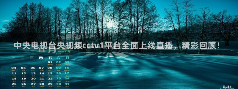 nba劲爆体育在线直播：中央电视台央视频cctv1平台全面上线直播，精彩回顾！